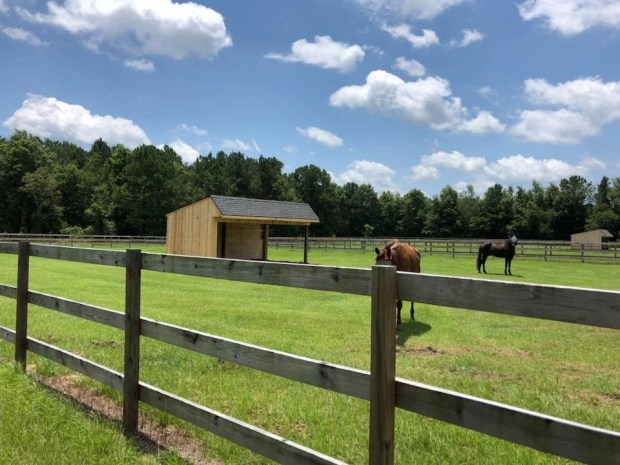 AC37A080-842F-418A-9800-1D1061026680